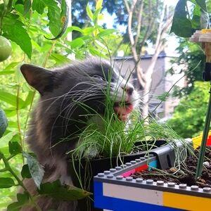 Meet your Posher, Améï